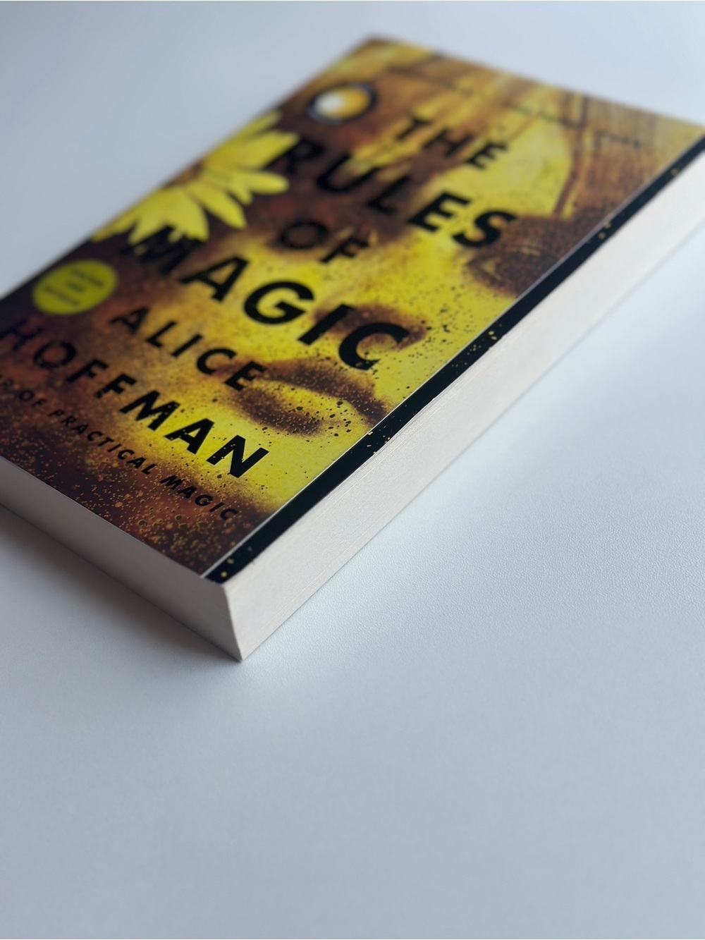 The Rules of Magic by Alice Hoffman | Fiction, Fantasy | Paperback Book - Picture 6 of 9